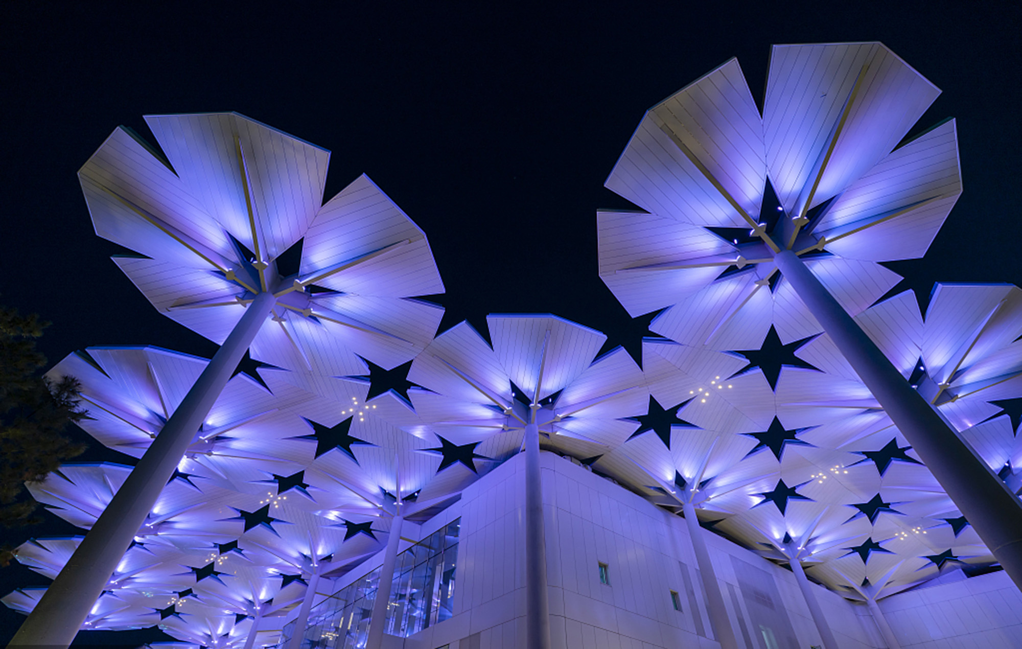 太陽棚景觀燈  工廠