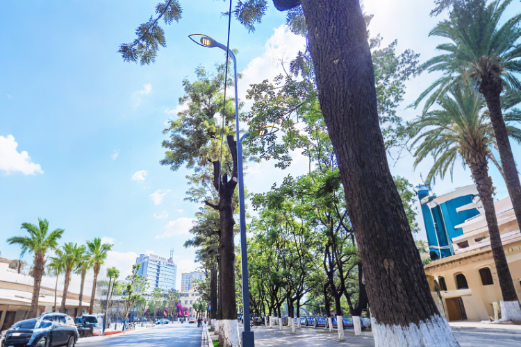 景觀路燈  廠(chǎng)家